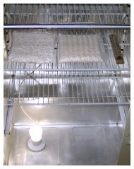 tempeh incubator