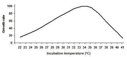 Incubator Temperature Chart