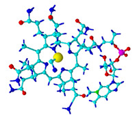 vitamin B12 structure